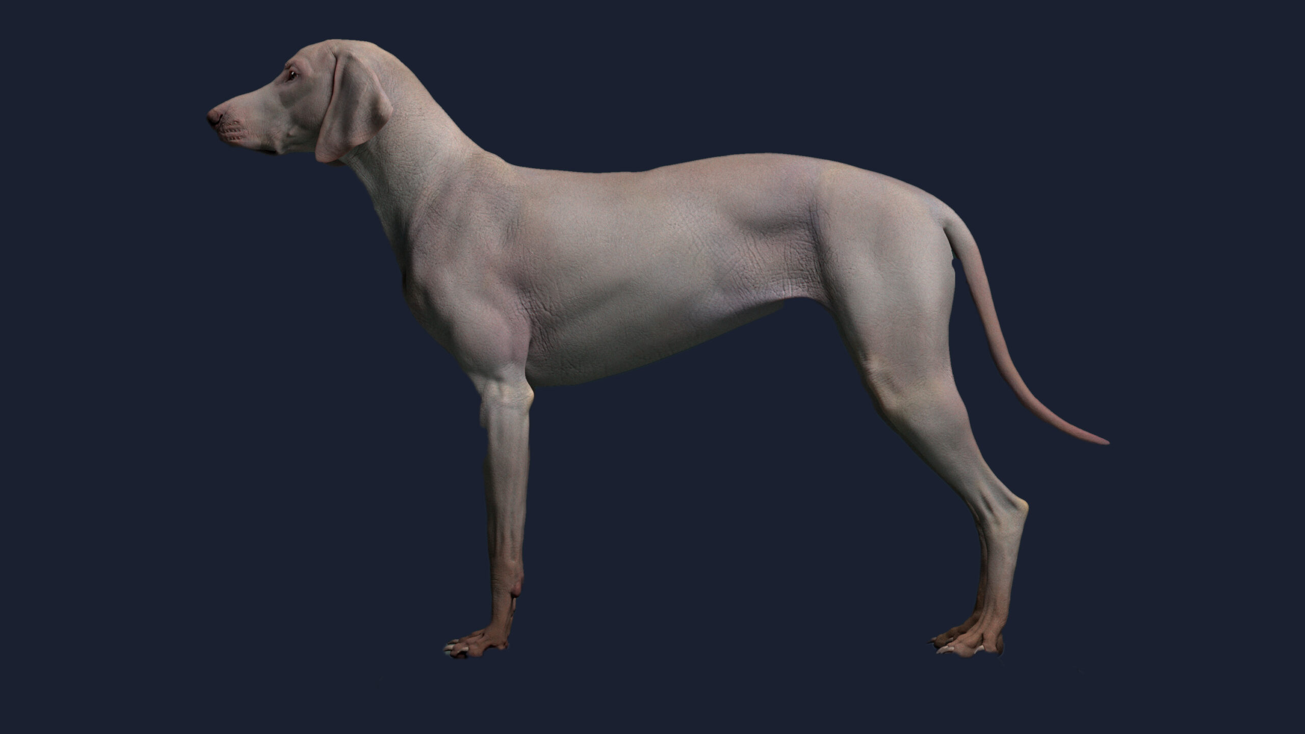 1 scaled