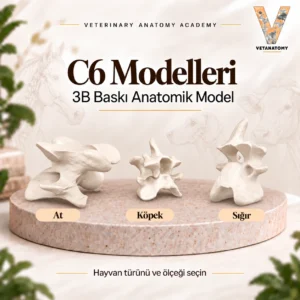 c6 kapak