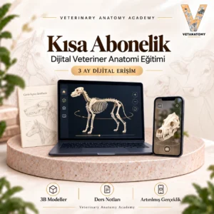 kisa abonelik