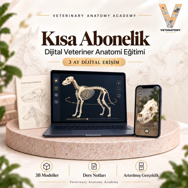 Kısa Abonelik Paketi