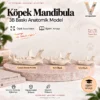 Köpek Mandibula — Boyut Karşılaştırması — %100, %75 ve %50 ölçeklerinin karşılaştırılması