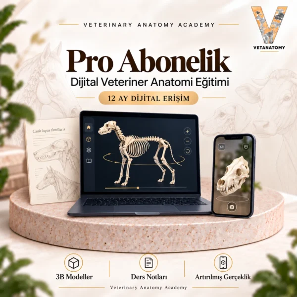 Pro Abonelik Eklentisi
